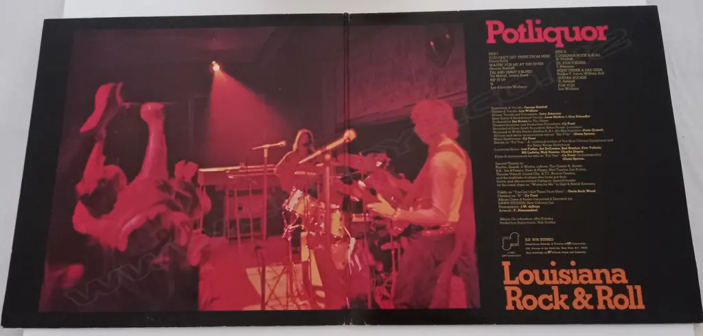 Potliquor, Louisiana Rock & Roll Image 1++